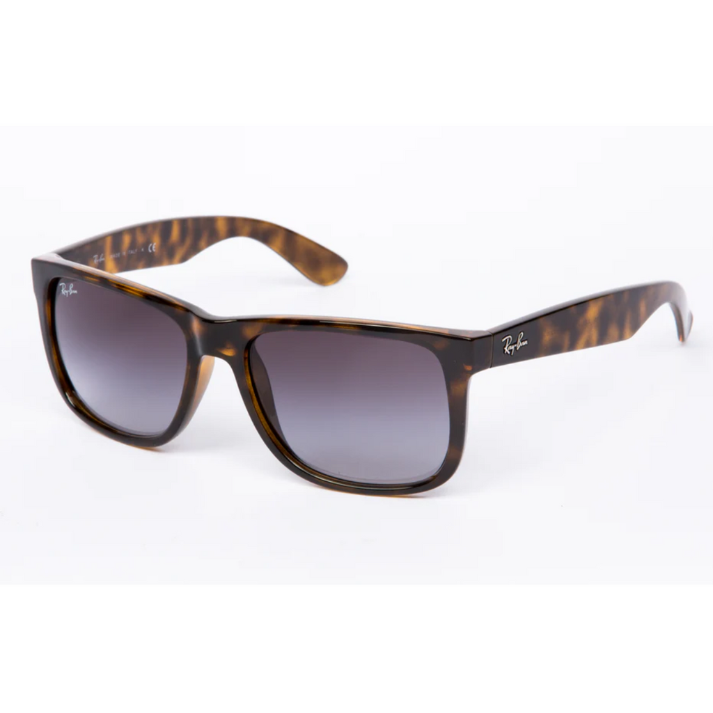 JUSTIN CAREY GREY DEGRADÉ