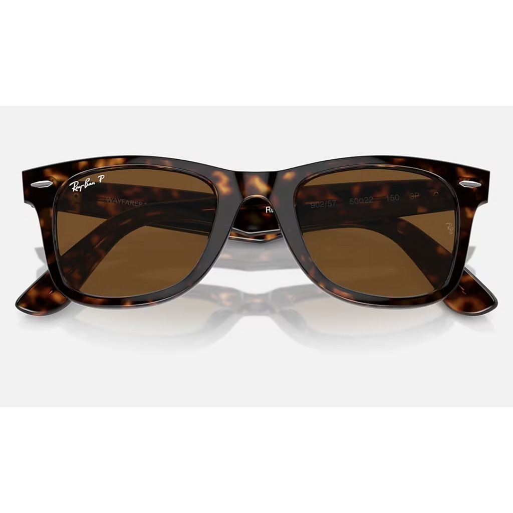 Wayfarer Carey Brown